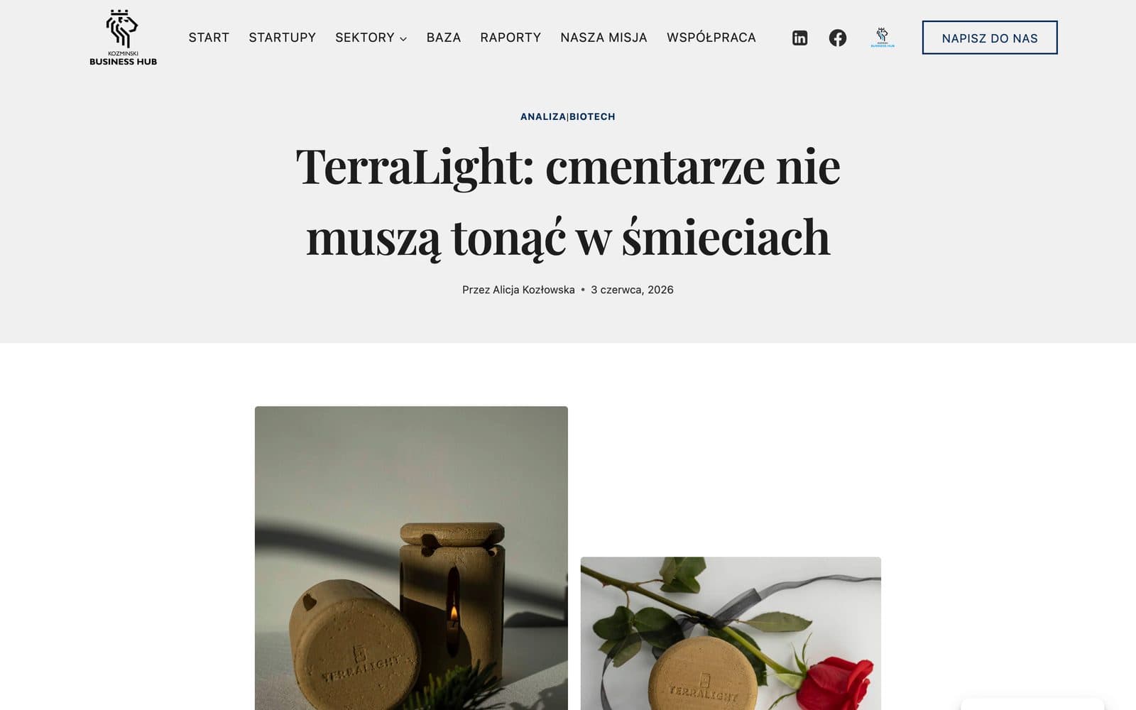 Artykuł — TerraLight